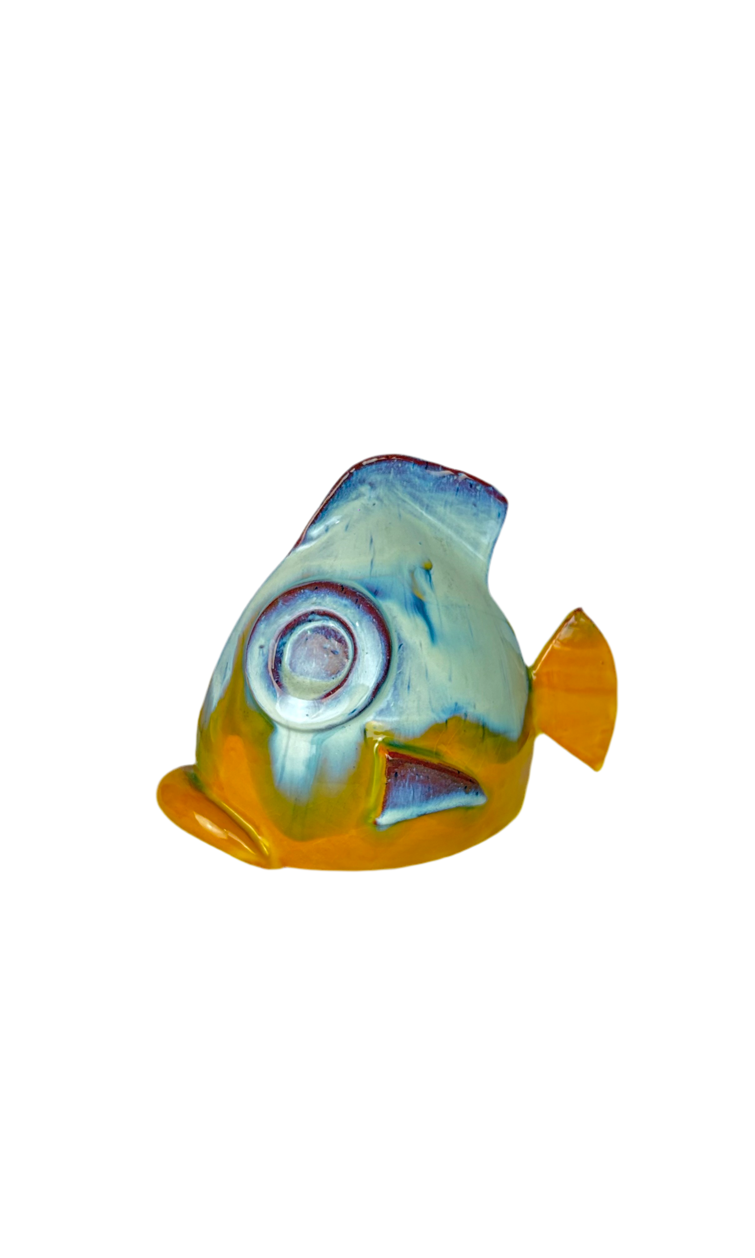 Pesce Musone da Appoggio